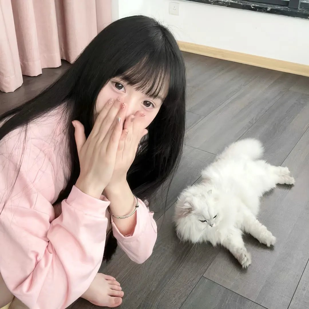 小迪兹的完美观念