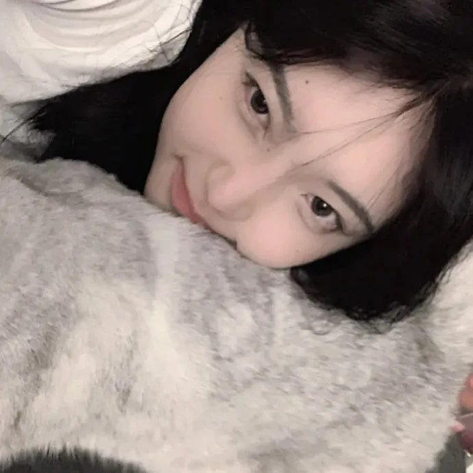 鸭乃桥论的禁忌推理第二季